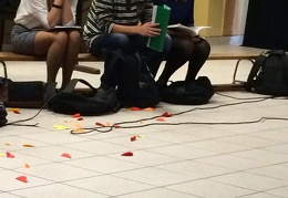 12096285 894299970625791 7867960388774880613 n