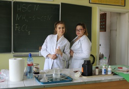 IMG 0902