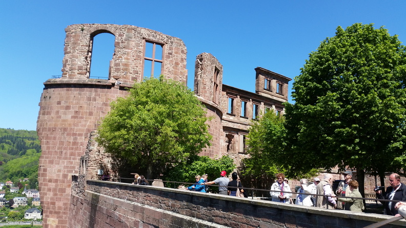 20170510_135208.jpg