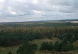 Widoczki