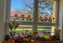 IMG-20221108-WA0014