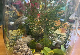 IMG-20221108-WA0018