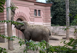 557968848 823256863560553 9023987663661382425 n