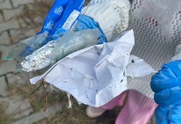 559344359 826690866550486 6214045179456403334 n