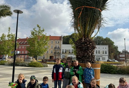 558031118 831381066081466 3390306167342741404 n