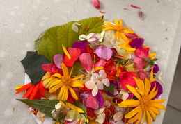 2025.10.22 Klasa 2A w Ogrodnictwie Florabit w Gliwicach