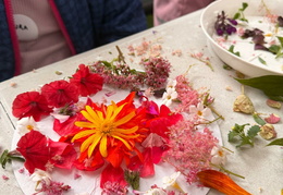 569072994 842484834971089 7649729403299972525 n