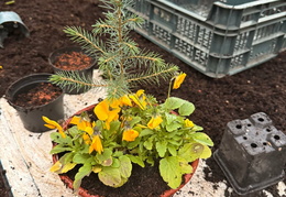 569121680 842485818304324 5311311957429455079 n