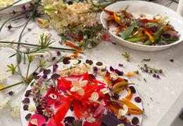 570506249 842484374971135 4322869546832257192 n