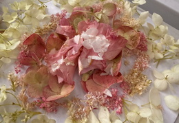 570624566 842484821637757 7294592547802008337 n