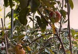 571019218 842484548304451 8530027604202358539 n