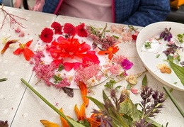 571132595 842484441637795 4219032729229573746 n