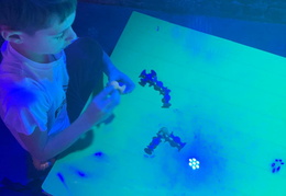 596512570 881737394379166 4028169195885326954 n