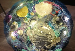 597397240 885514067334832 7764007099490231400 n