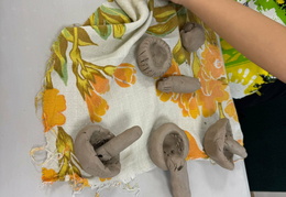 606338064 894586716427567 4616473819245166930 n