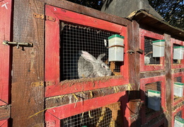 605688568 894588656427373 8852418576415890811 n