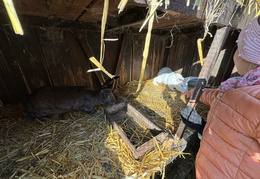 606449367 894588539760718 7850732972482255942 n