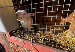 608889730 894588266427412 3212057124709306892 n