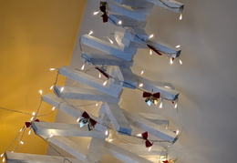 PXL 20251215 090817709.PORTRAIT.ORIGINAL