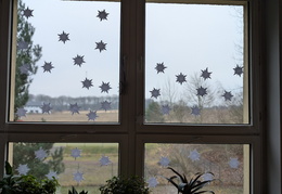 PXL 20251215 090827288.PORTRAIT