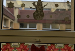 PXL 20251215 091049266.PORTRAIT