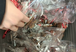 626909659 921621910390714 8147062905673475571 n